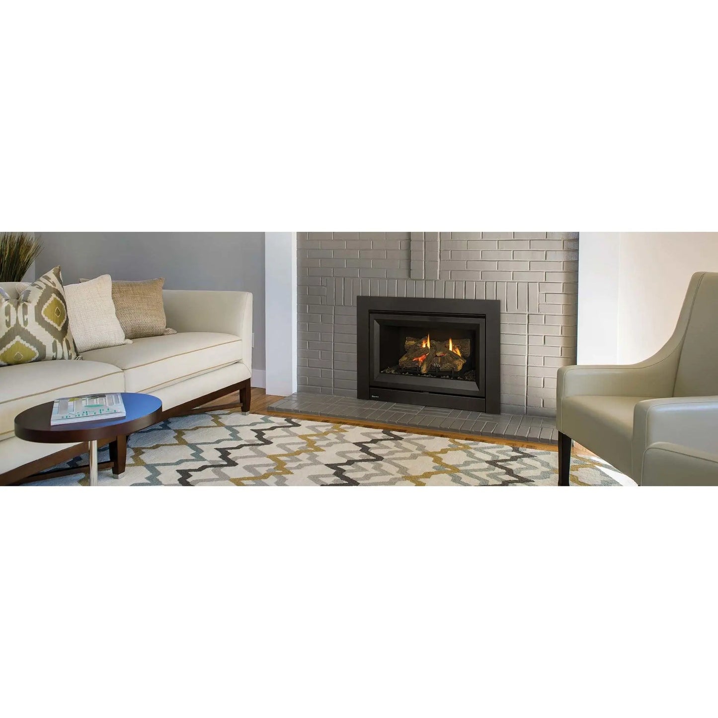 Regency Gas Heater - DVi34L Gas Inbuilt - Horizon Leisure