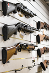 Firearms Services, & Transfer Fees