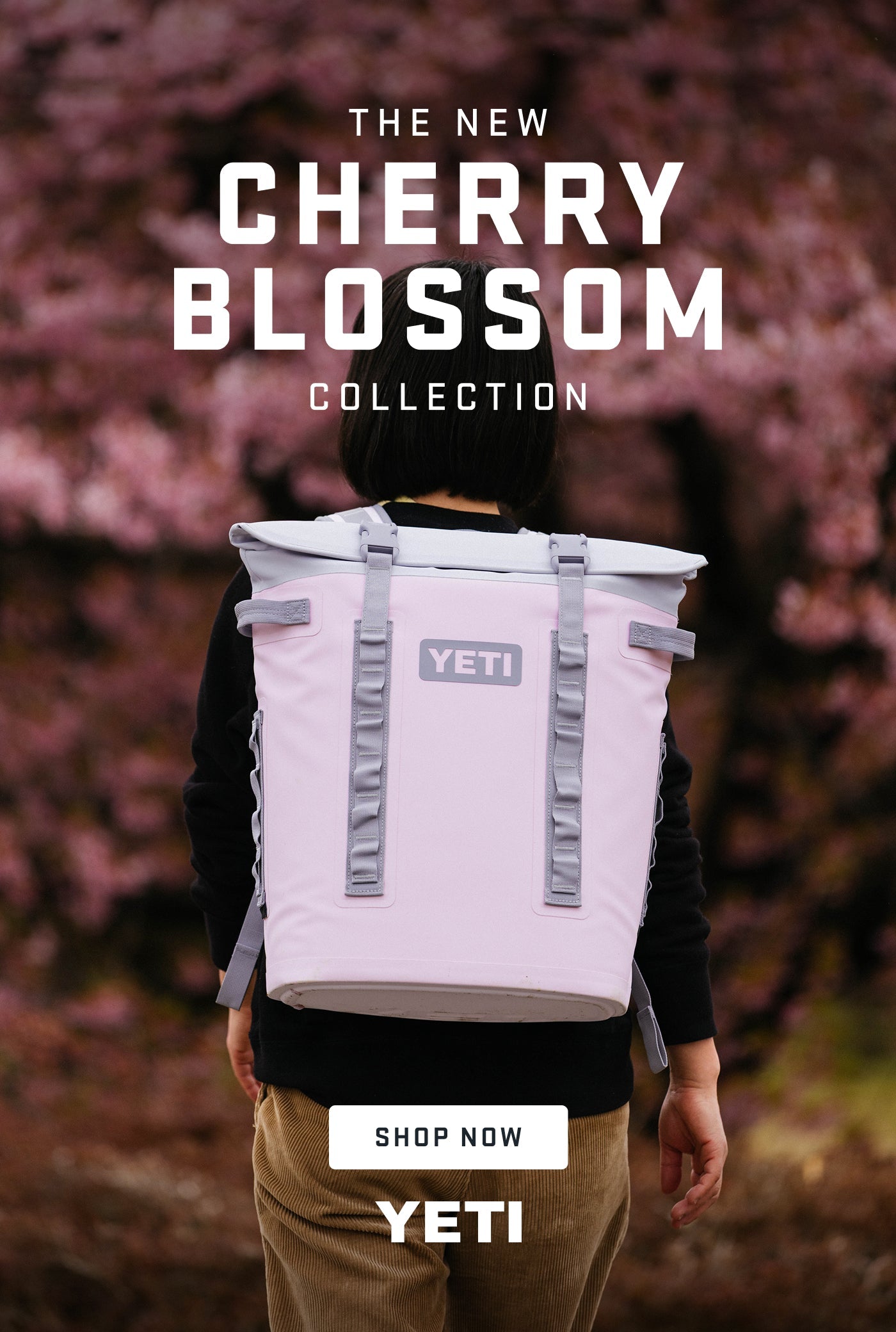 Cherry Blossom - Yeti