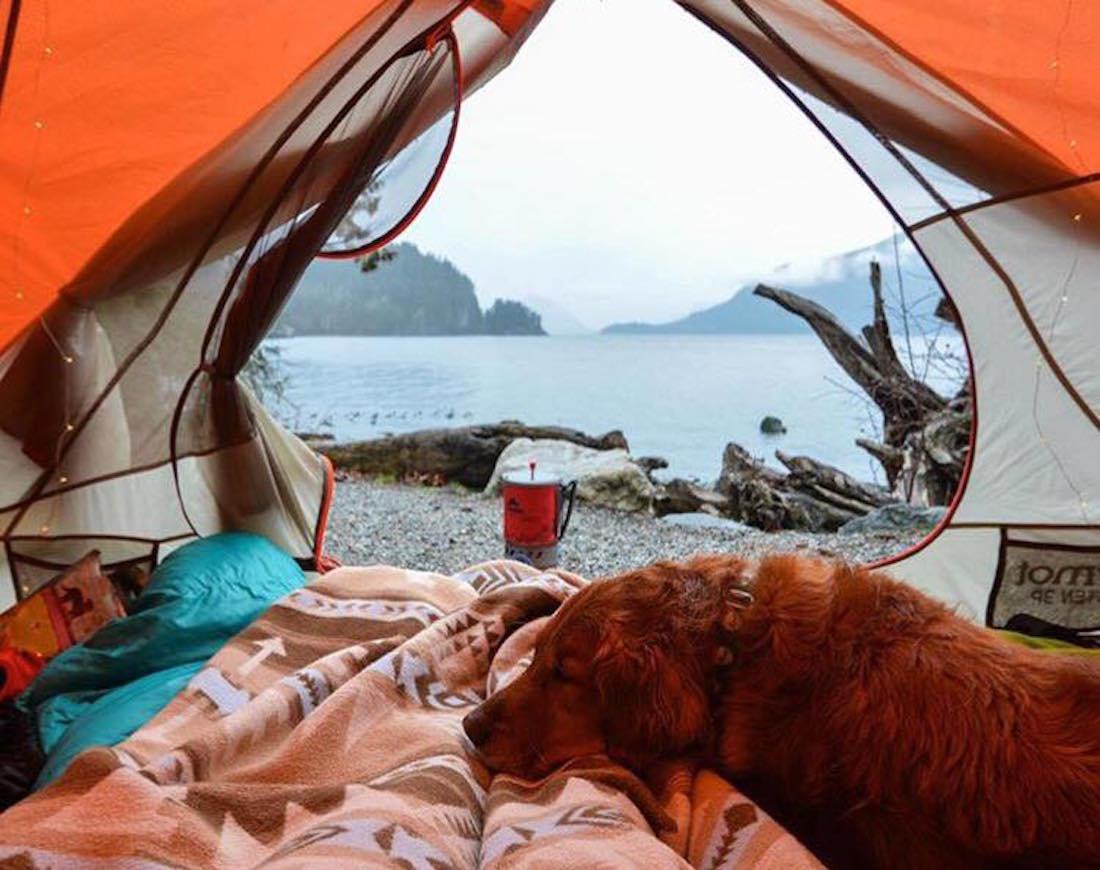 CAMPING & HIKING - Horizon Leisure