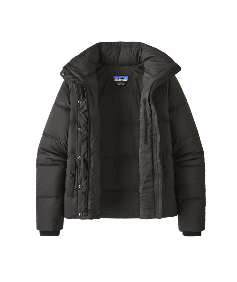 Patagonia Womens Silent Down Jkt