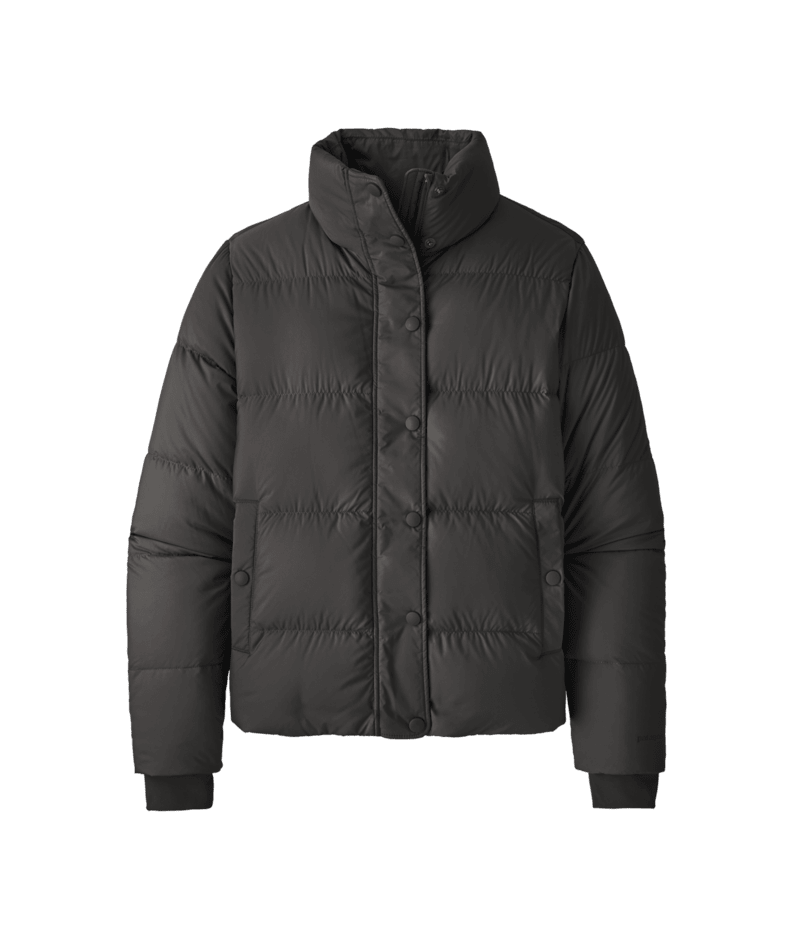Patagonia Womens Silent Down Jkt