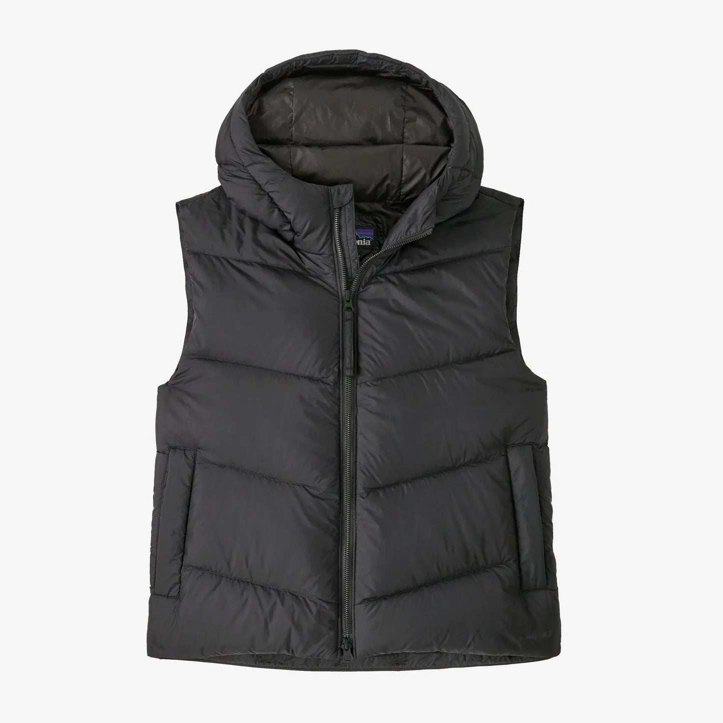 Patagonia Womens Sindit Vest