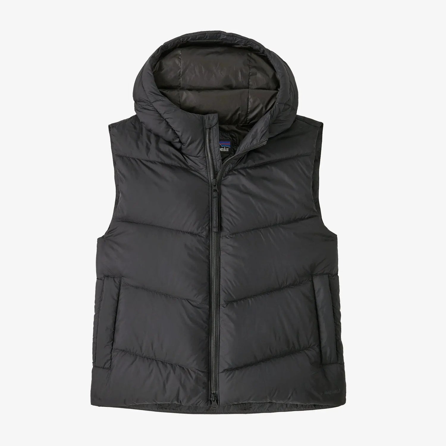 Patagonia Womens Sindit Vest