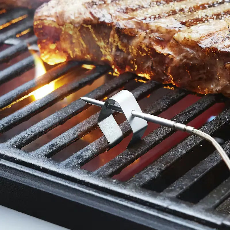 Weber Smart Probe and Grate Sensor