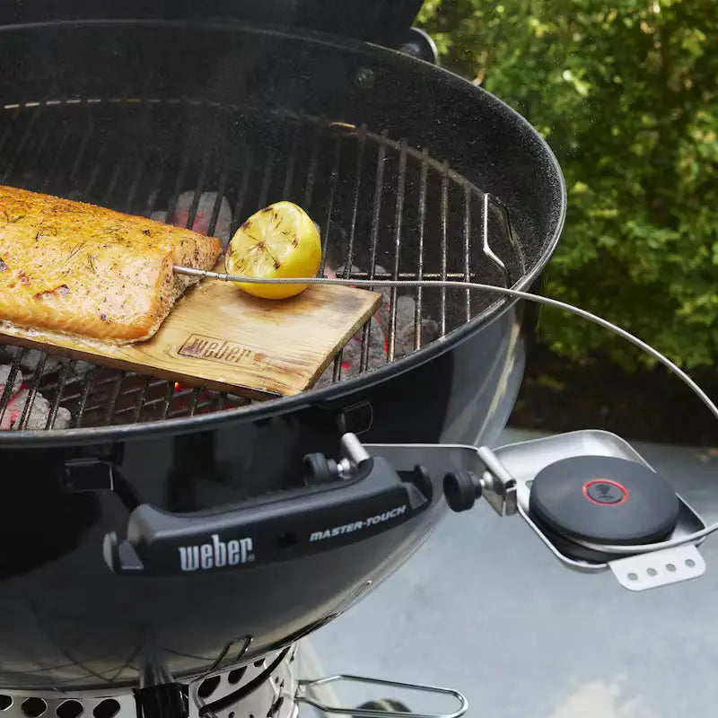 Weber Smart Probe and Grate Sensor