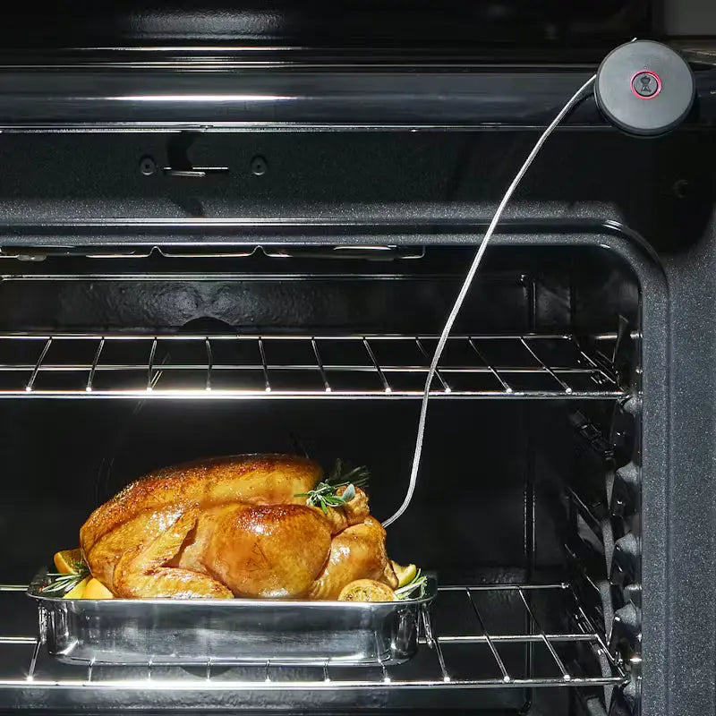 Weber Smart Probe and Grate Sensor