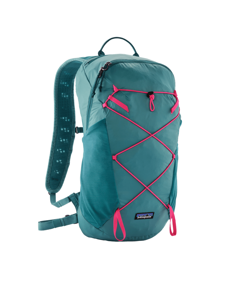 Patagonia Terravia Pack 22L