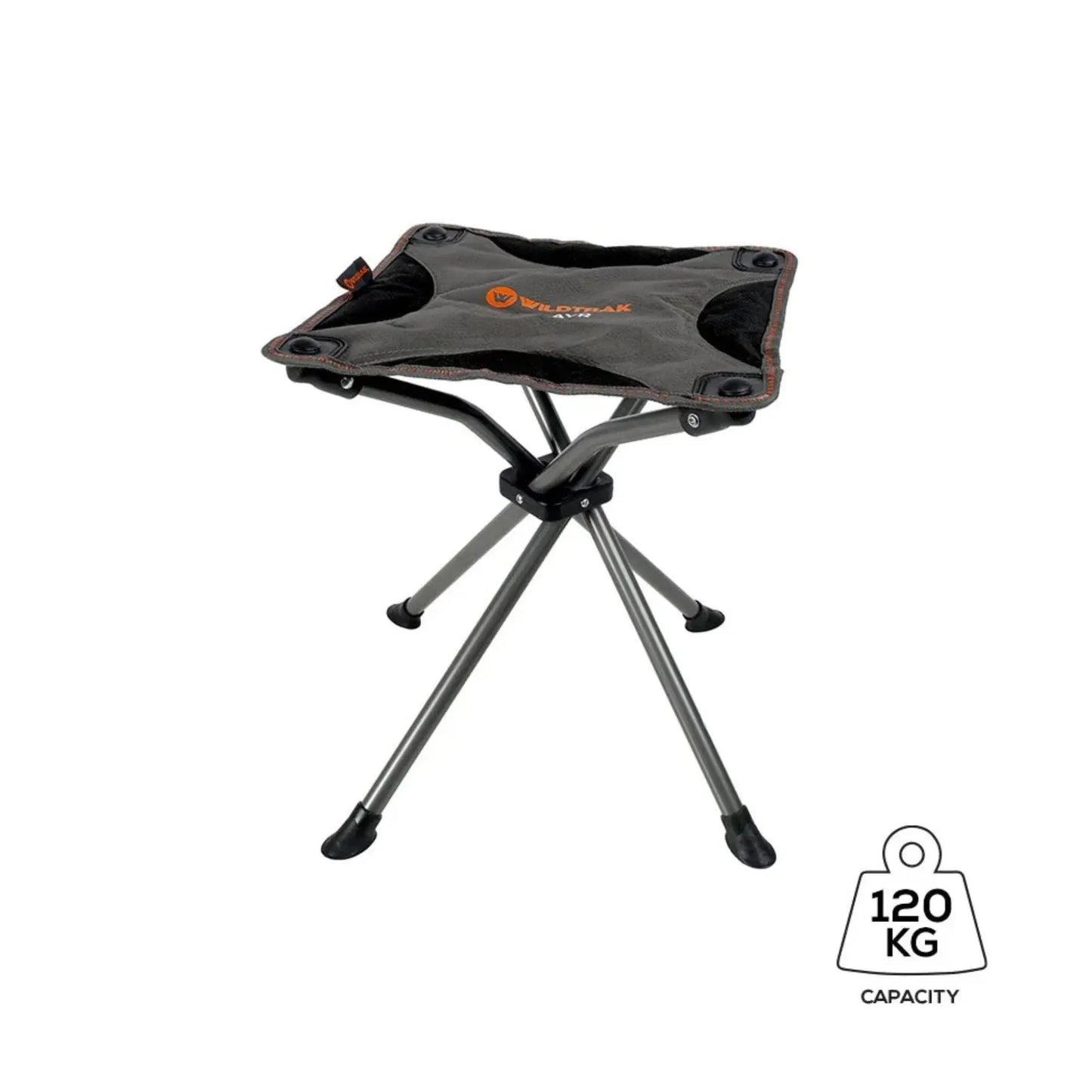 Ayr Folding Camping Fishing Stool