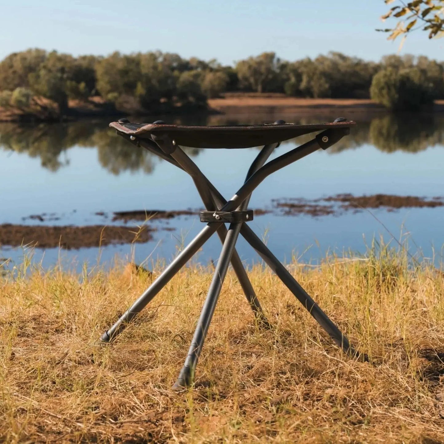Ayr Folding Camping Fishing Stool