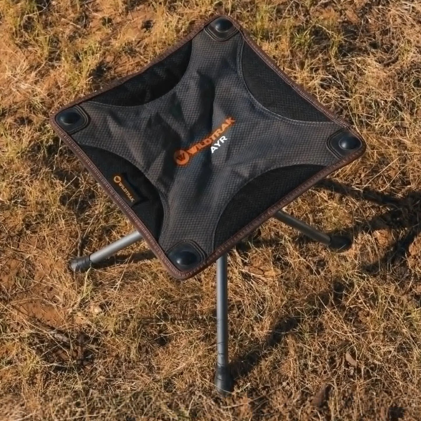Ayr Folding Camping Fishing Stool