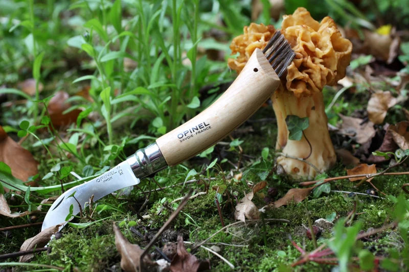 Opinel Mushroom Knife #08 S/S 8cm