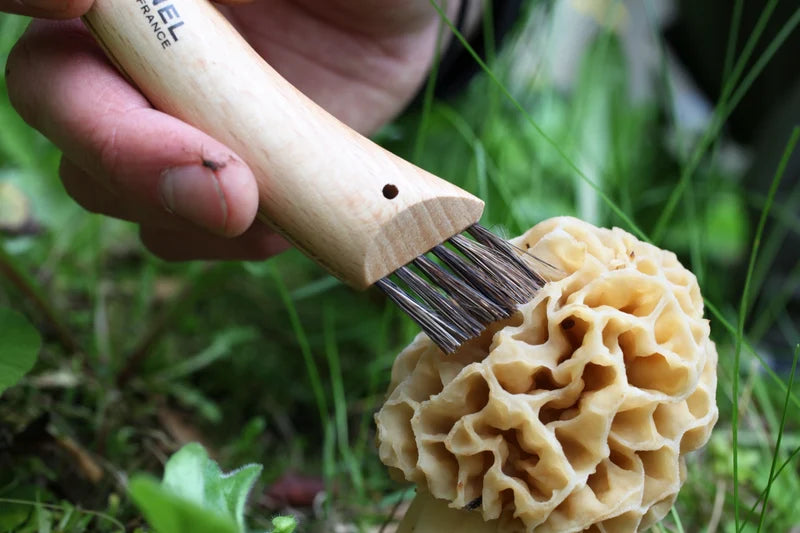 Opinel Mushroom Knife #08 S/S 8cm